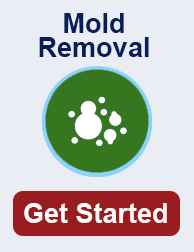 mold remediation in Local TN